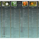 visuel d'un calendrier 2027 "Parfums de Couleurs" format A4, recto - personnalisé avec des photos de fleurs de Endless Detours