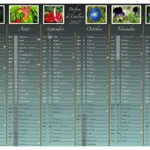 visuel d'un calendrier 2027 "Parfums de Couleurs" format A4, verso - personnalisé avec des photos de fleurs de Endless Detours