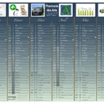 visuel d'un calendrier 2027 "Pharmacie des Arts' format A4, recto - personnalisé pour une pharmacie à Pau