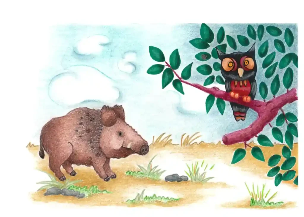 illustration du volume 2 de la collection "Pas si Bêtes", le sanglier